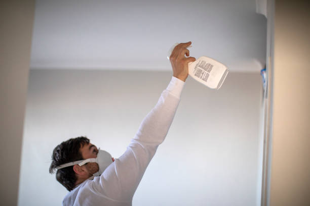 Best Post-Flood Mold Remediation in Bray, OK