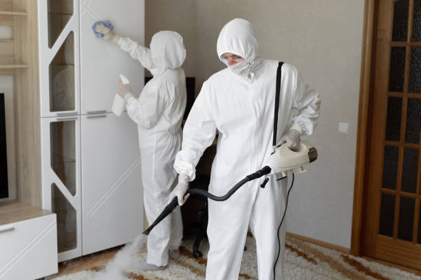 Best HVAC Mold Remediation in Bray, OK