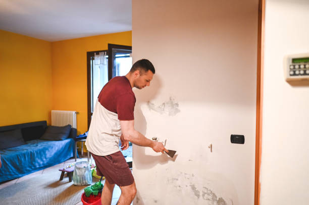 Best Emergency Mold Remediation in Bray, OK